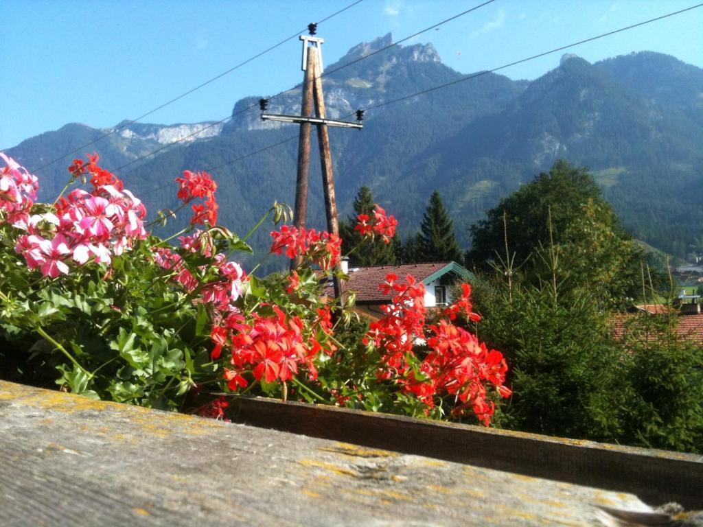 Pension Larchenhof Maurach  Cameră foto